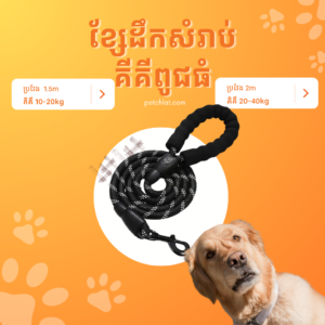 Heavy-Duty Reflective Rope Leash for Large Dogs