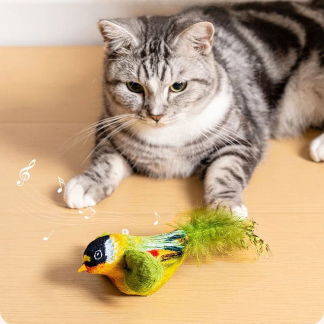 Interactive Simulation Bird Cat Toy - Image 3