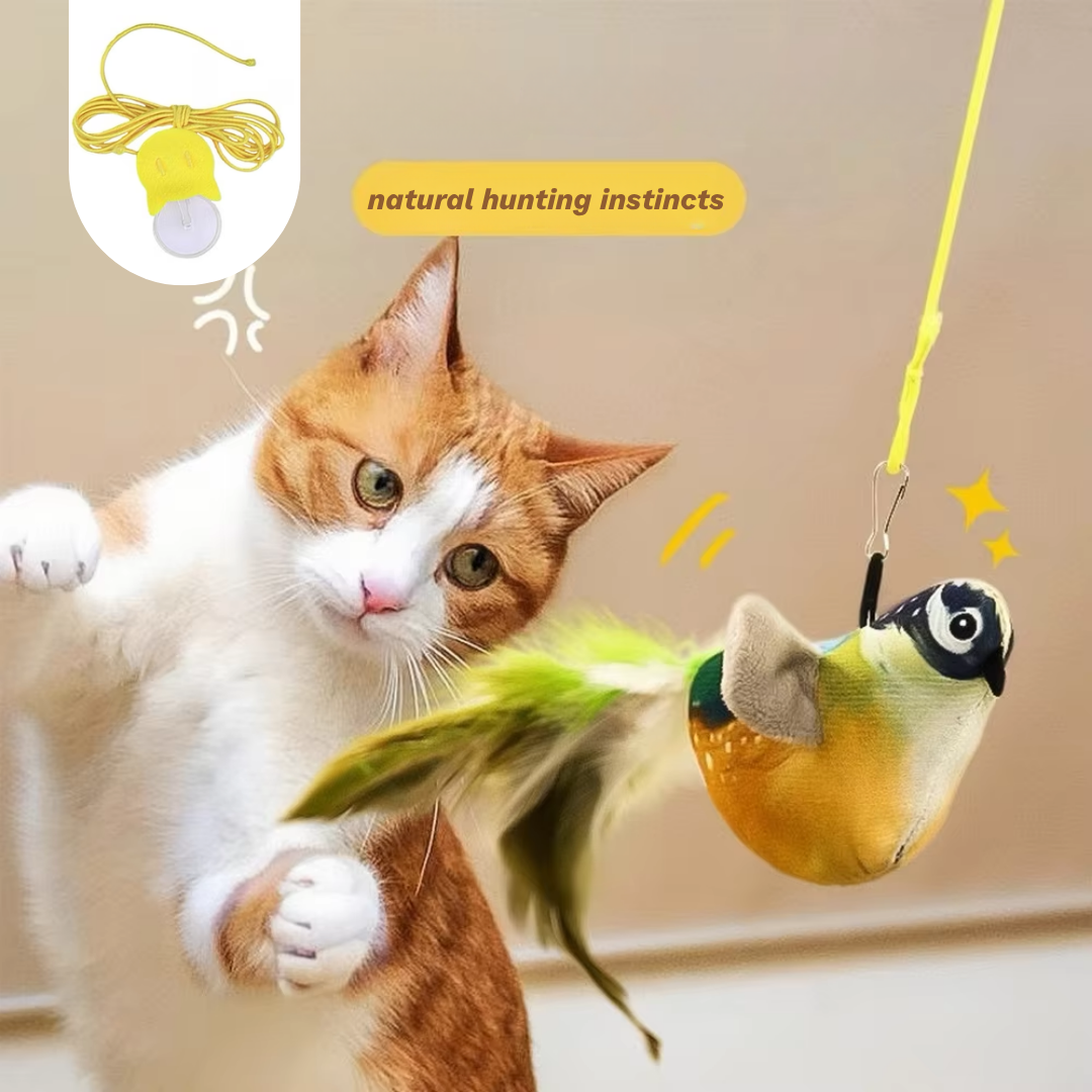 Interactive Simulation Bird Cat Toy