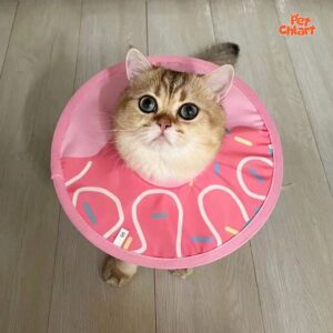 Soft Foldable Donut Elizabethan Recovery Collar