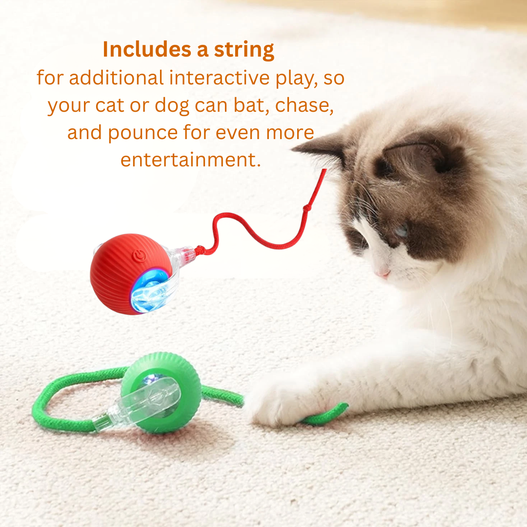 Smart LED Interactive Pet Ball - Image 2