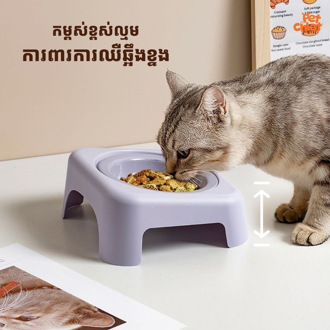 Ergonomic Elevated Ceramic Pet Bowl - Image 2