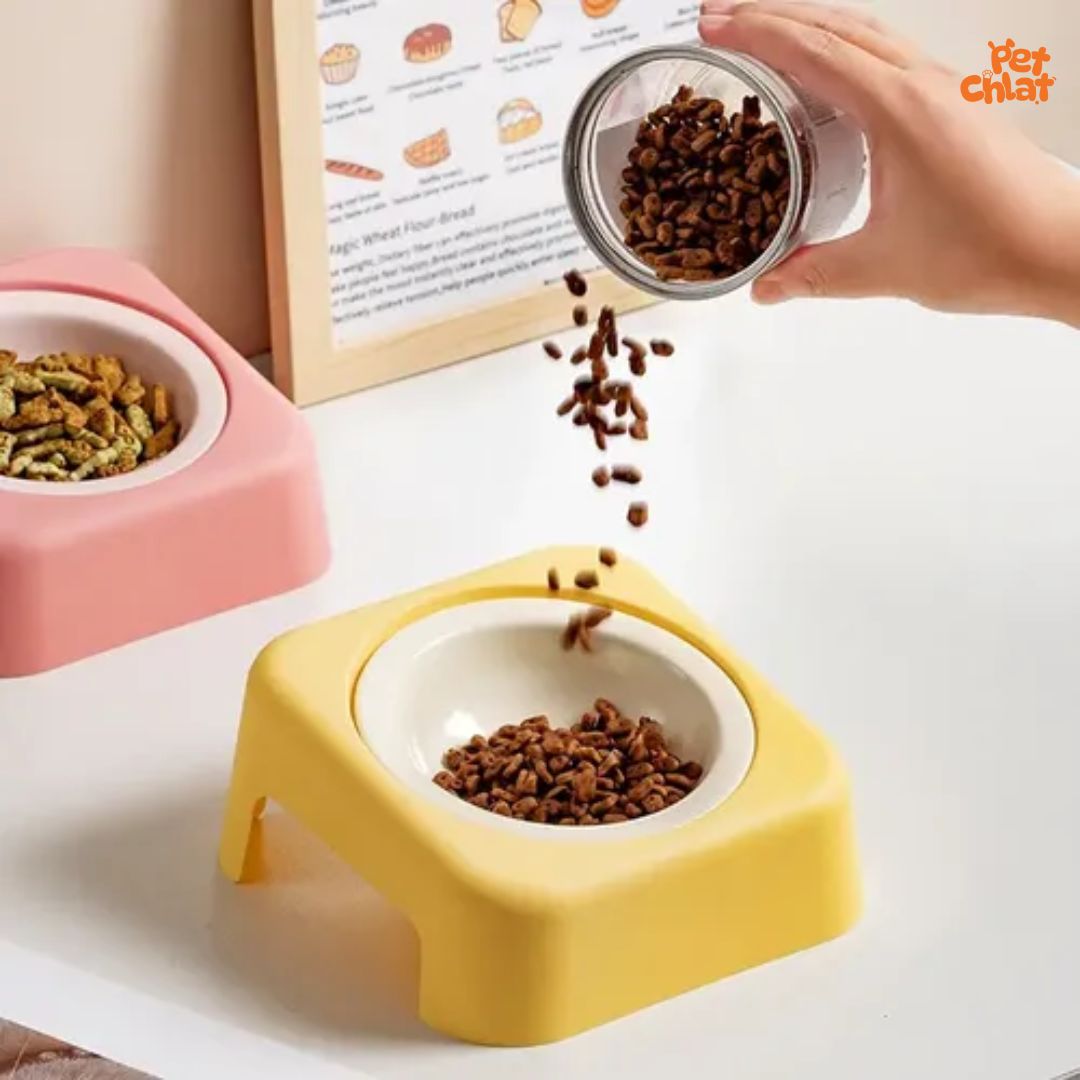 Ergonomic Elevated Ceramic Pet Bowl - Image 7