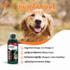 Bioline Premium Salmon Oil Supplement (250ml)