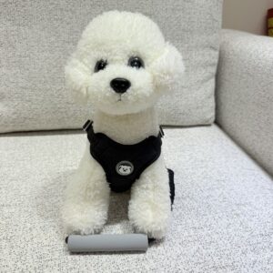 Premium Quilted Cushion Pet Harness & Leash Set
