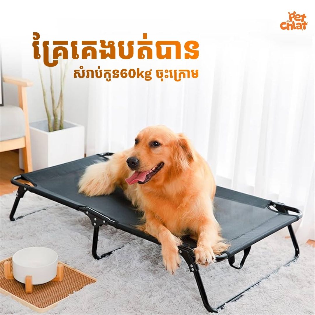 Heavy-Duty Foldable Elevated Dog Bed