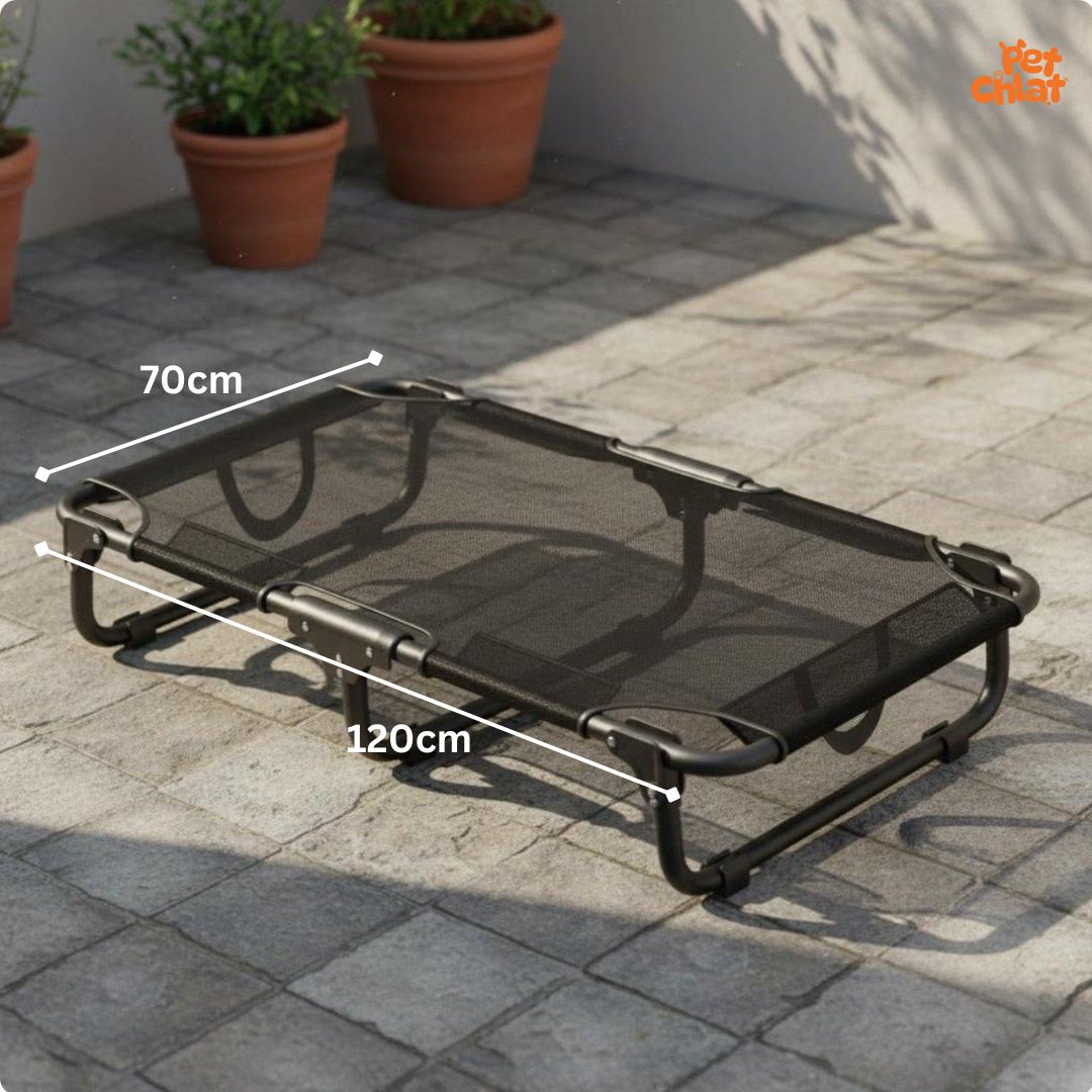 Heavy-Duty Foldable Elevated Dog Bed - Image 2