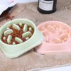 Anti-Gulping Interactive Slow Feeder Pet Bowl