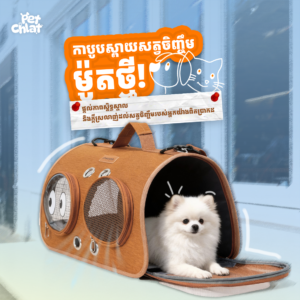 Moorpet Foldable Multi-Way Pet Travel Carrier Bag