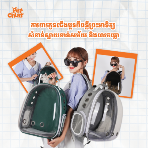 Alternative view of Moorpet Panoramic Tinted Pet Carrier Backpack