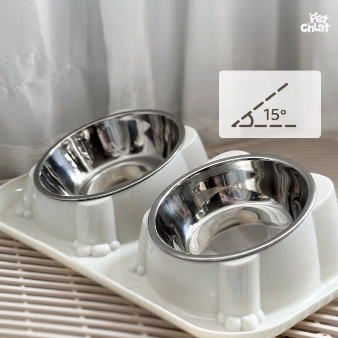 15° Tilted Elevated Double Stainless Steel Pet Feeder with Anti-Ant Moat - Image 3