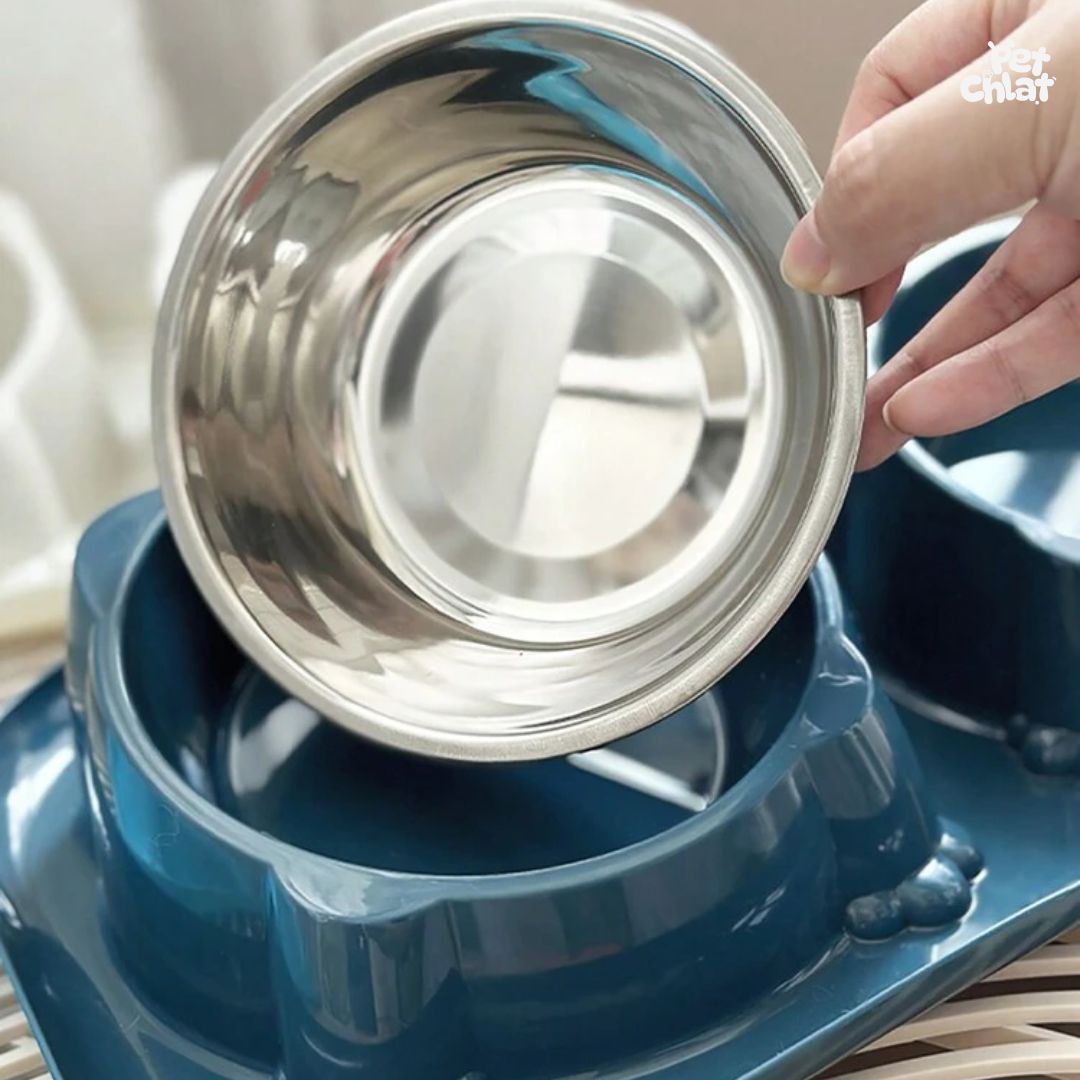 15° Tilted Elevated Double Stainless Steel Pet Feeder with Anti-Ant Moat - Image 4